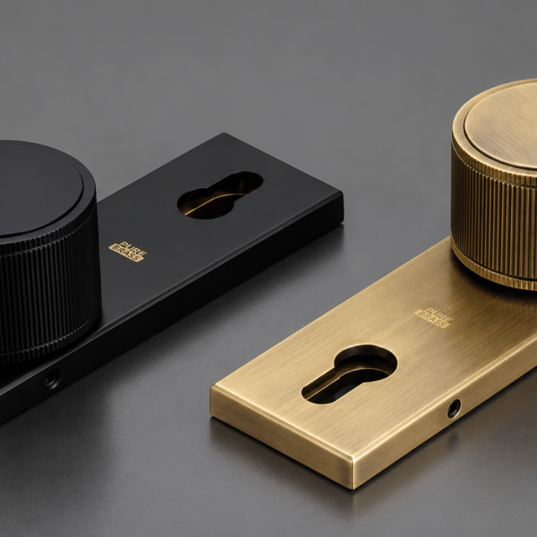 Lavish DX Premium Brass Door handle